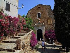 183 D23 BORMES LES MIMOSAS 1_000030